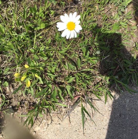 Meet your Posher, Skyijacob - Picture 1 of 1